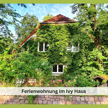 Ivy Haus Lägenhet Falkensee Exteriör bild