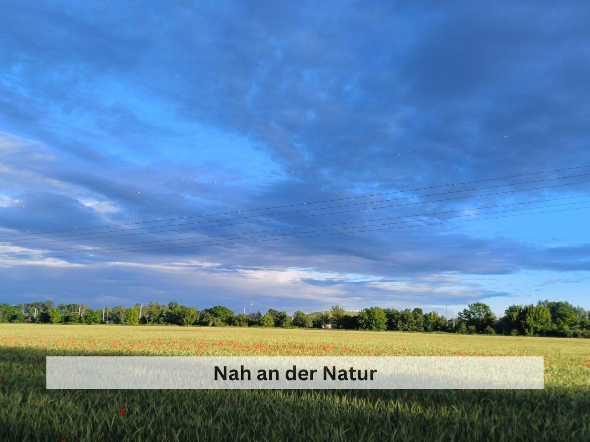 Ivy Haus Lägenhet Falkensee Exteriör bild