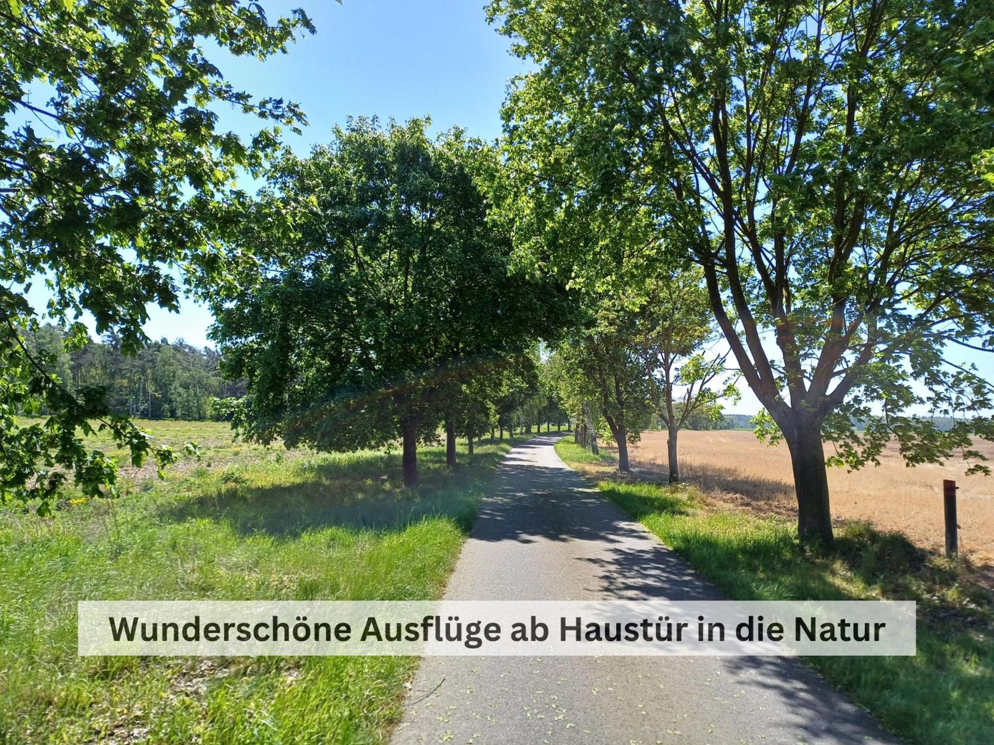 Ivy Haus Lägenhet Falkensee Exteriör bild